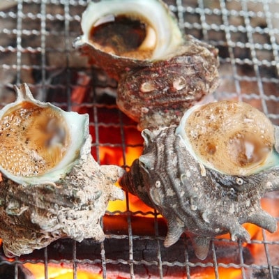 コッペガ二 甲羅盛り サザエ つぼ焼き セット 特製だし醤油付き