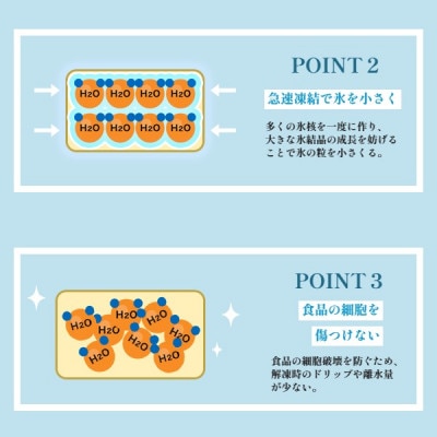 海の宝石　ちりめん海鮮丼<若狭産 本マグロ>