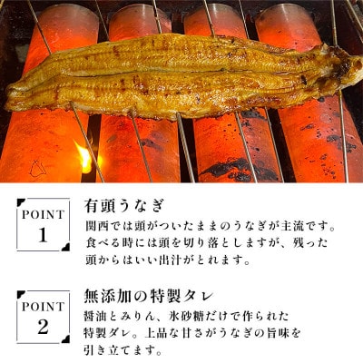 国産うなぎの蒲焼 約200g×2尾(特製ダレ付)
