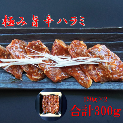 肉ソムリエ監修!極み旨辛ハラミ150g×2