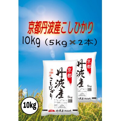 【ふるさと納税】京都丹波産 こしひかり 5kg×2 計10kg ※精米したてをお届け