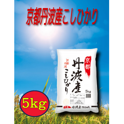 【ふるさと納税】京都丹波産 こしひかり 5kg ※精米したてをお届け
