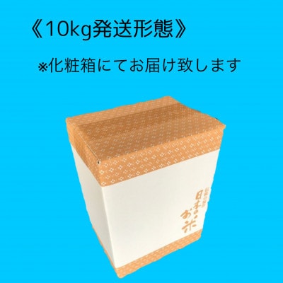 JA京都にのくにの京都丹波産こしひかり　5kg×2(合計10kg)