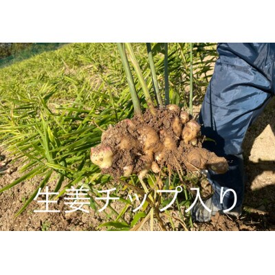 京都生姜ほうじ茶 3袋入り