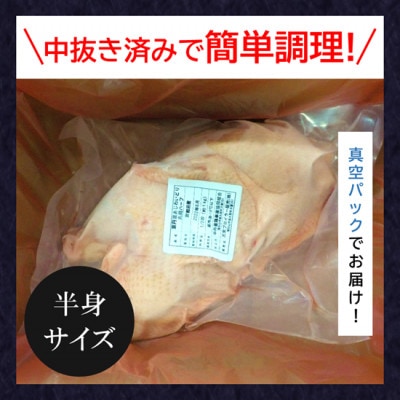 特別な日におすすめ!【京都府産 京丹波あじわいどり】丸鶏の半身 約1kg レシピ付き ハーフサイズ