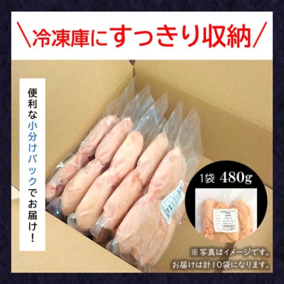 小分け!【京都府産 京丹波あじわいどり】手羽先 480g×10袋 4.8kg