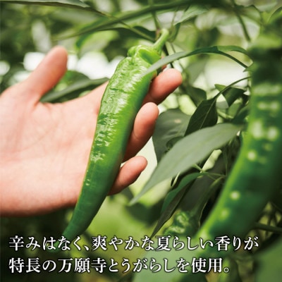 〈ANA推奨〉 万願寺とうがらし味噌