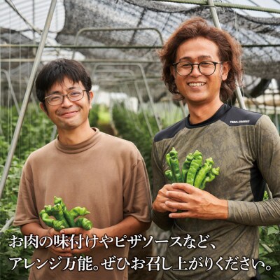 万願寺とうがらしと味噌セット