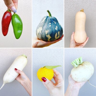 季節のお野菜BOX M.vegeオーナー目利きの旬なお勧めお野菜詰め合わせセット/7~8種類