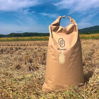 精米コシヒカリ10kg 京都産