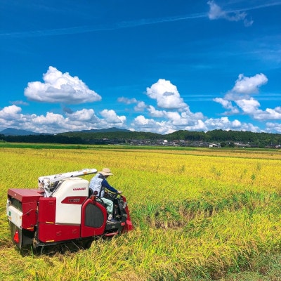 【令和4年産】京都 福知山産こしひかり 玄米30kg 一般には流通していない特別なお米です。