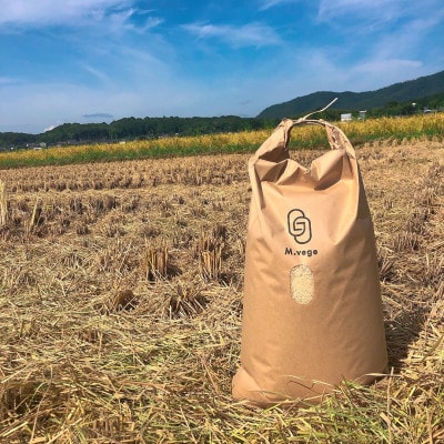 【令和4年産】京都 福知山産こしひかり 玄米10kg 一般には流通していない特別なお米です。