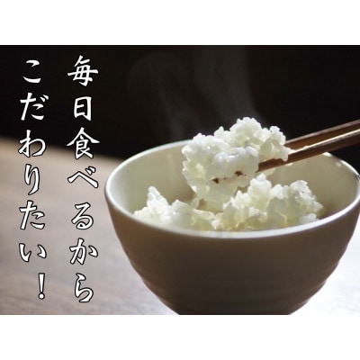 【無洗米】5kg 京都産 精米 コシヒカリ 流通していない 特別なお米