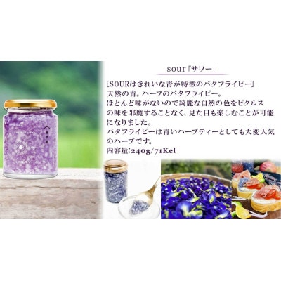 まるで宝石の様な玉葱ピクルスソース 天然ハーブで綺麗なカラーサワーとスィートのギフトBox付きセット