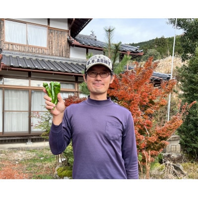 京都・福知山ピクルス