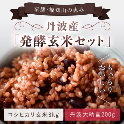 丹波産　発酵玄米セット(コシヒカリ玄米3kgと丹波大納言200g)
