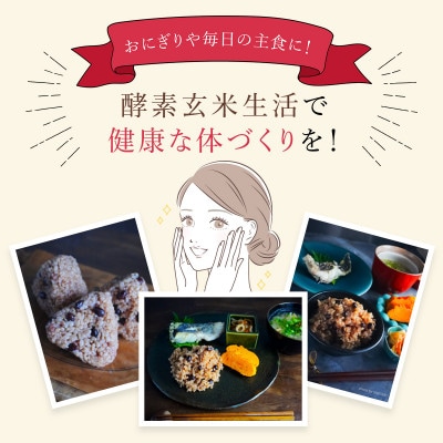 丹波産　発酵玄米セット(コシヒカリ玄米3kgと丹波大納言200g)
