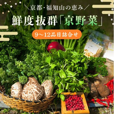 鮮度抜群「京野菜」9～12品目詰合せ【京都府福知山市】