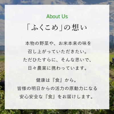 鮮度抜群「京野菜」9～12品目詰合せ【京都府福知山市】
