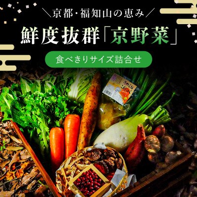 鮮度抜群「京野菜」食べきりサイズ詰合せ(6～7品目)【京都府福知山市】