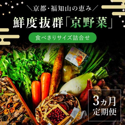 【毎月定期便】鮮度抜群「京野菜」食べきりサイズ詰合せ(6～7品目)【京都府福知山市】全3回