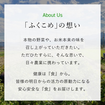 【毎月定期便】鮮度抜群「京野菜」食べきりサイズ詰合せ(6～7品目)【京都府福知山市】全3回