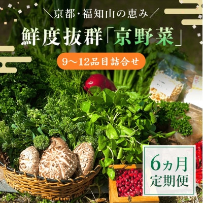 【毎月定期便】鮮度抜群「京野菜」9～12品目詰合せ【京都府福知山市】全6回