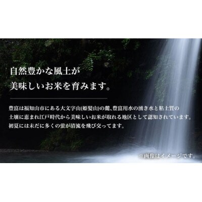 【令和6年産】京都丹波福知山産 はるまる農園のコシヒカリ 5kg 精米