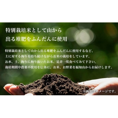京都丹波福知山産 はるまる農園のコシヒカリ 精米 無洗米 【10kg】