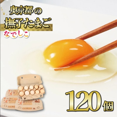 奥京都の撫子たまご 120個入 (110個+割れ保証10個) 新鮮