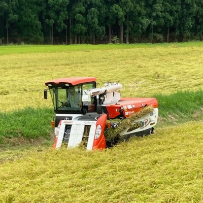 衣川の男米コシヒカリ 白米 10kg(5kg×2袋)【京都府福知山市】