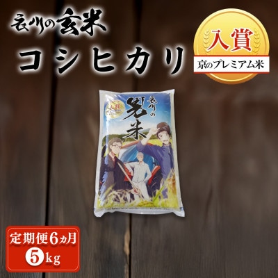【毎月定期便】衣川の男米コシヒカリ 玄米 5kg【京都府福知山市】全6回
