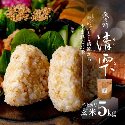 京都夜久野産　清雫(せいな)コシヒカリ 玄米5kg