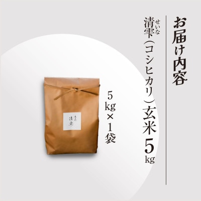 京都夜久野産　清雫(せいな)コシヒカリ 玄米5kg