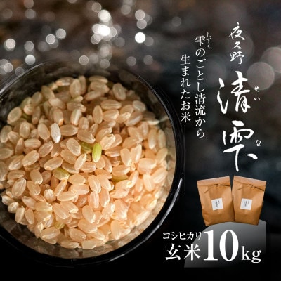 京都夜久野産　清雫(せいな)コシヒカリ 玄米10kg(5kg×2袋)