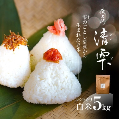 京都夜久野産 清雫(せいな)コシヒカリ  白米 5kg