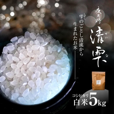 京都夜久野産 清雫(せいな)コシヒカリ  白米 5kg