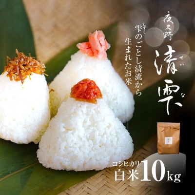 京都夜久野産 清雫(せいな)コシヒカリ  白米 10kg(5kg×2袋)
