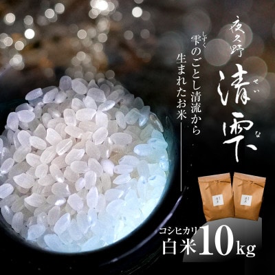京都夜久野産 清雫(せいな)コシヒカリ  白米 10kg(5kg×2袋)