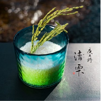 清雫 精米10kg+黒ムラサキ300g(丹波黒大豆の枝豆)【京都府福知山市】コシヒカリ