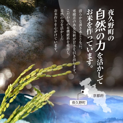 清雫 精米10kg+黒ムラサキ300g(丹波黒大豆の枝豆)【京都府福知山市】コシヒカリ