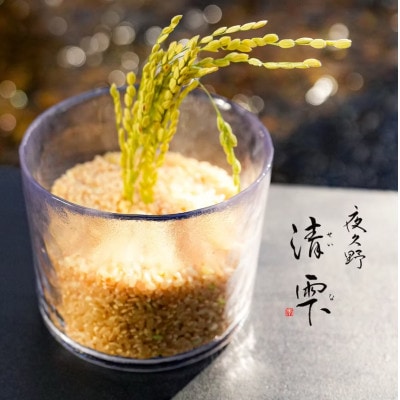 清雫 玄米10kg+黒ムラサキ300g(丹波黒大豆の枝豆)【京都府福知山市】