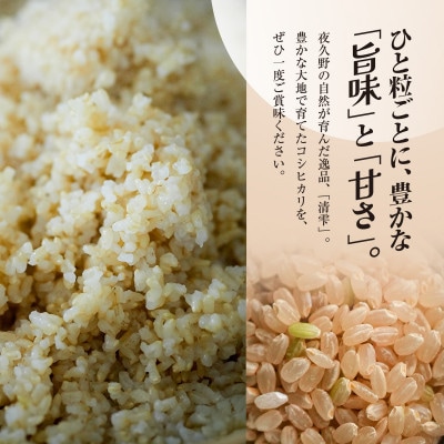 【毎月定期便】京都夜久野産　清雫(せいな)コシヒカリ 玄米10kg(5kg×2袋)全6回