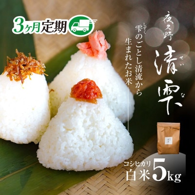 【毎月定期便】京都夜久野産 清雫(せいな)コシヒカリ 白米 5kg全3回