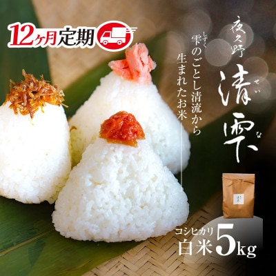 【毎月定期便】京都夜久野産 清雫(せいな)コシヒカリ 白米 5kg全12回