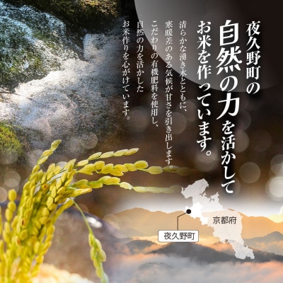 【毎月定期便】京都夜久野産 清雫(せいな)コシヒカリ 白米 10kg(5kg×2袋)全3回