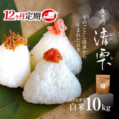 【毎月定期便】京都夜久野産 清雫(せいな)コシヒカリ 白米 10kg(5kg×2袋)全12回