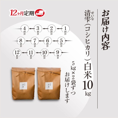【毎月定期便】京都夜久野産 清雫(せいな)コシヒカリ 白米 10kg(5kg×2袋)全12回