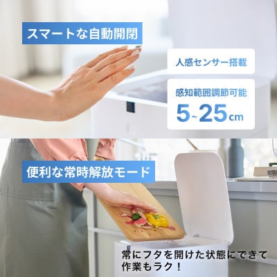 完全自動ゴミ箱 ザ パーフェクトボックス THE PERFECT BOX (ラージホワイト・30L)