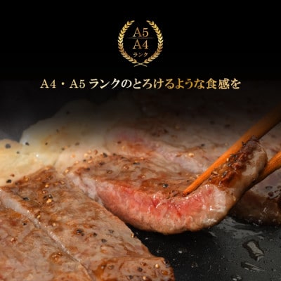 【やまなか家】いわて牛サーロインステーキ 600g(K8-007)